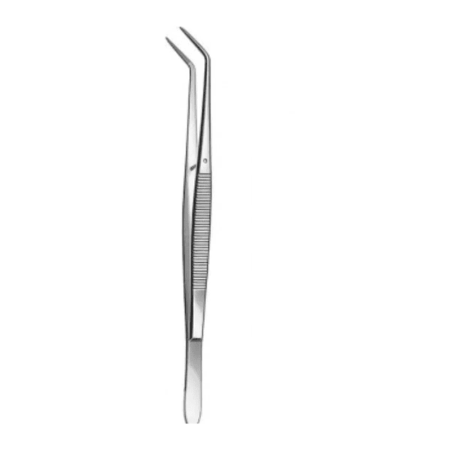 Pinza Merriam biangulada algodonera de acero inoxidable quirúrgico – 16 cm