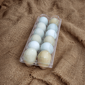 12 Huevos Azules - Gallinas Araucanas