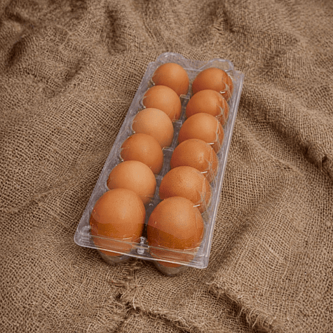 12 Huevos Color - Libre Pastoreo 1