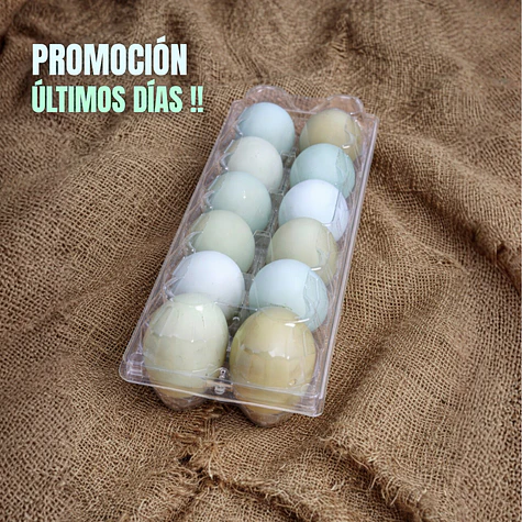 Huevos Azules (12) - Gallinas Araucanas 1