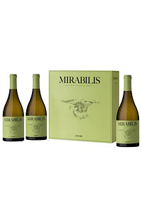 Mirabilis Branco 2024