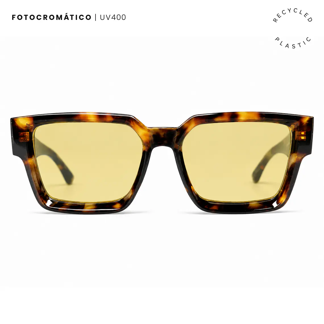 Fagnano 5