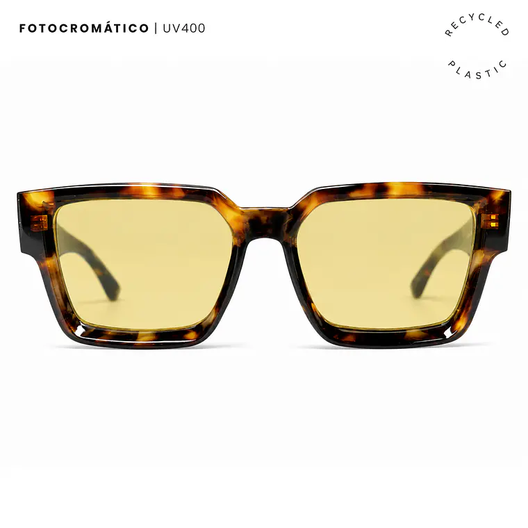 Fagnano 5