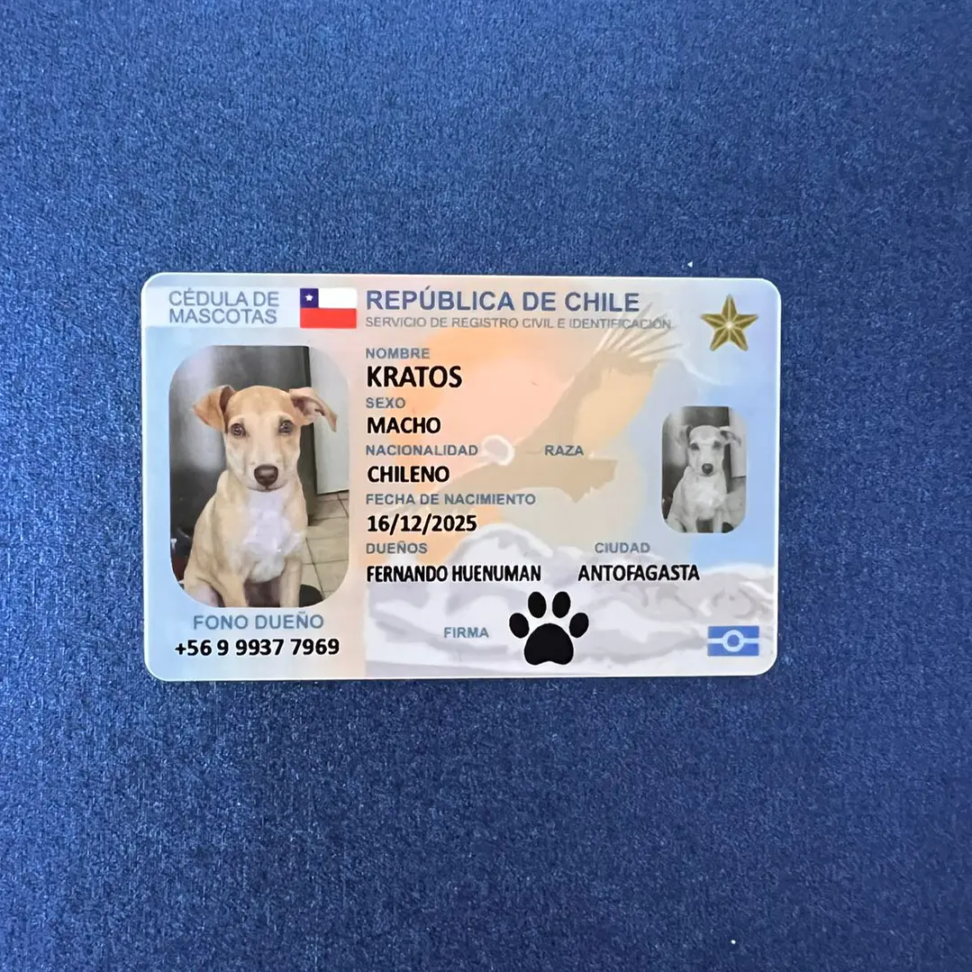Credenciales Personalizadas 2