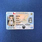 Credenciales Personalizadas - Miniatura 2