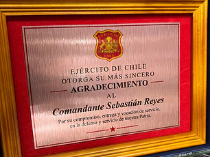 Galvano Tercio Pelo 