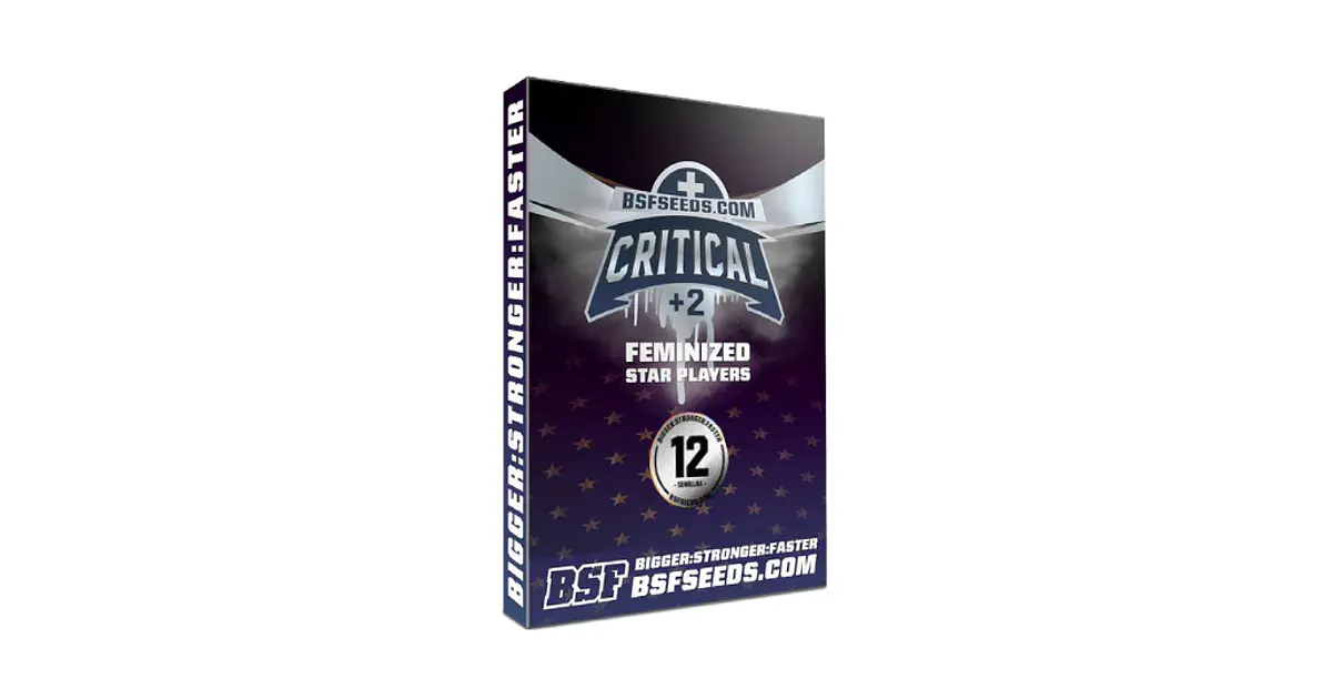 CRITICAL+2 FEM BSF