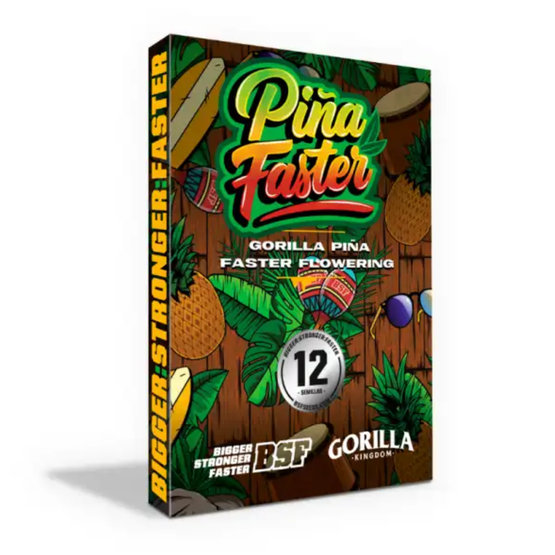 GORILLA PIÑA FASTER BSF 1