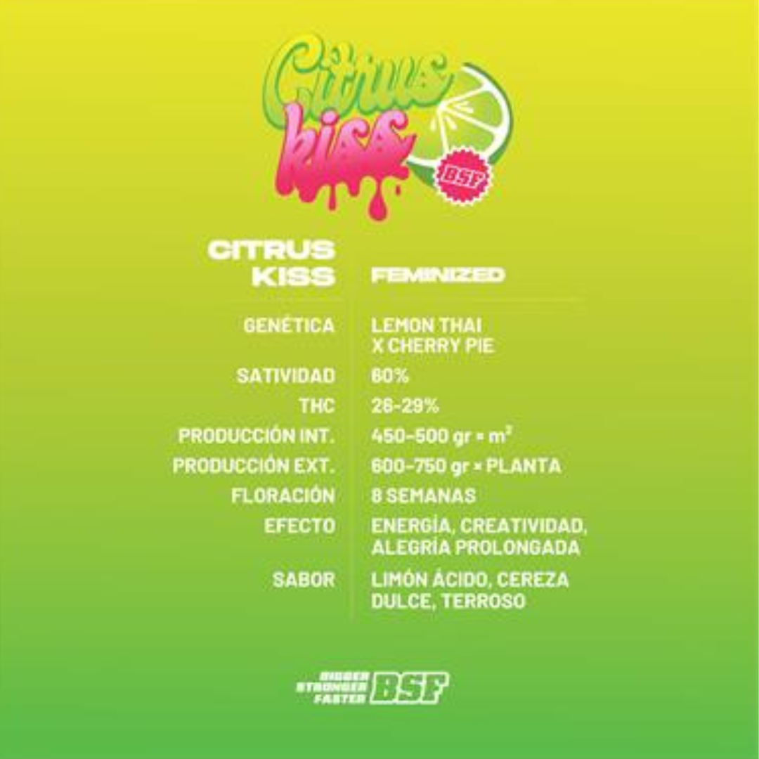 CITRUS KISS FEM BSF 2