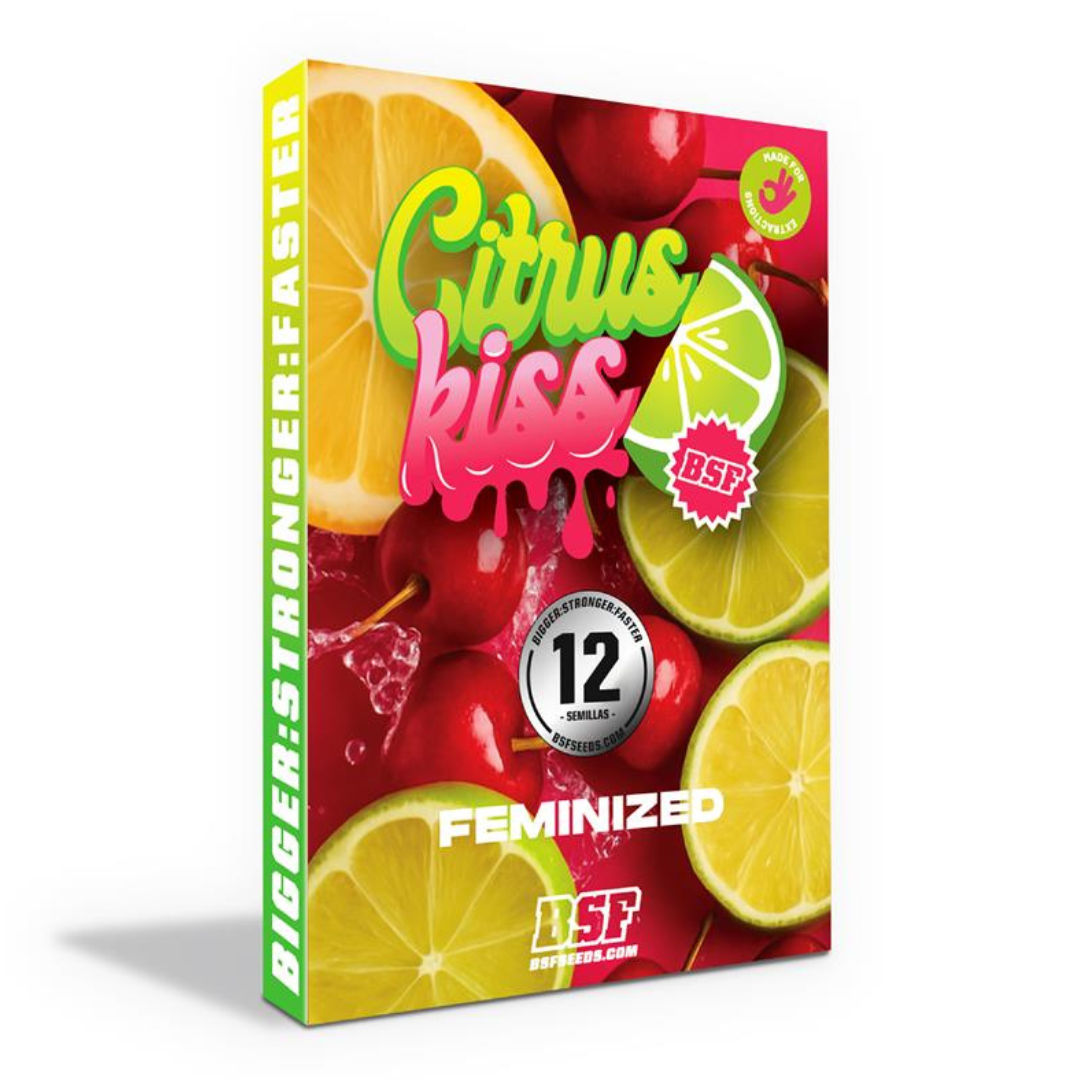 CITRUS KISS FEM BSF 1