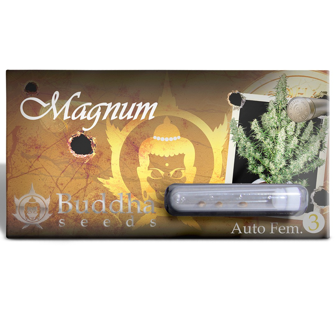 MAGNUM AUTO 3+1 SEMILLAS BUDDHA SEEDS 1