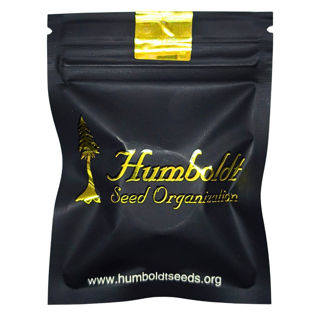PACK MAYORISTA GEIST OG FAST VERSION 100 SEMILLAS HUMBOLDT SEEDS 3