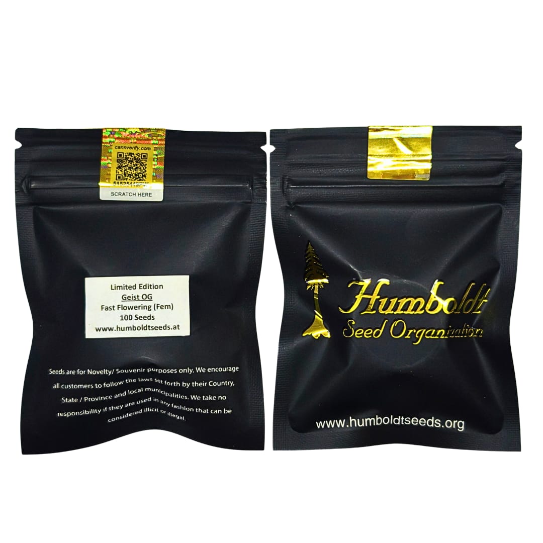 PACK MAYORISTA GEIST OG FAST VERSION 100 SEMILLAS HUMBOLDT SEEDS 1