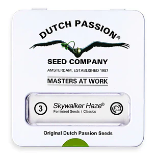 SKYWALKER HAZE FEM 3 SEMILLAS DUTCH PASSION