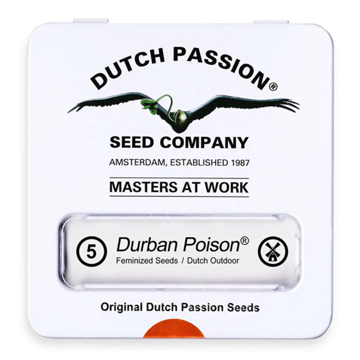 DURBAN POISON FEM 3 SEMILLAS DUTCH PASSION 1