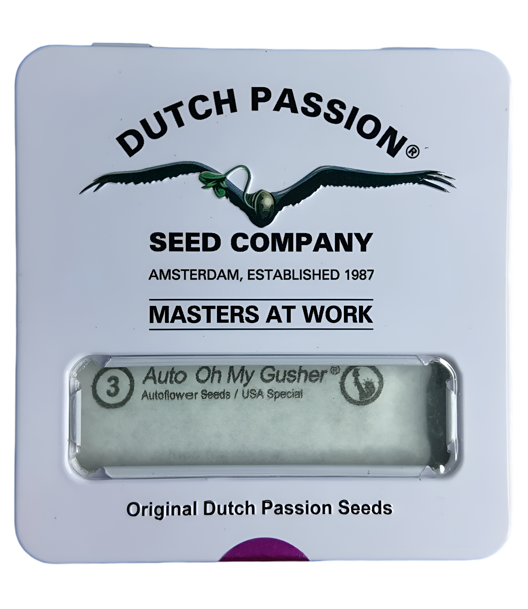 AUTO OH MY GUSHER X 3 SEMILLAS DUTCH PASSION 1