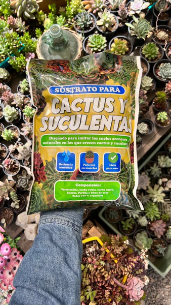 SUSTRATO PARA CACTUS Y SUCULENTAS 2,5 LITROS 1
