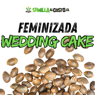 WEDDING CAKE FEMINIZADA GRANEL 