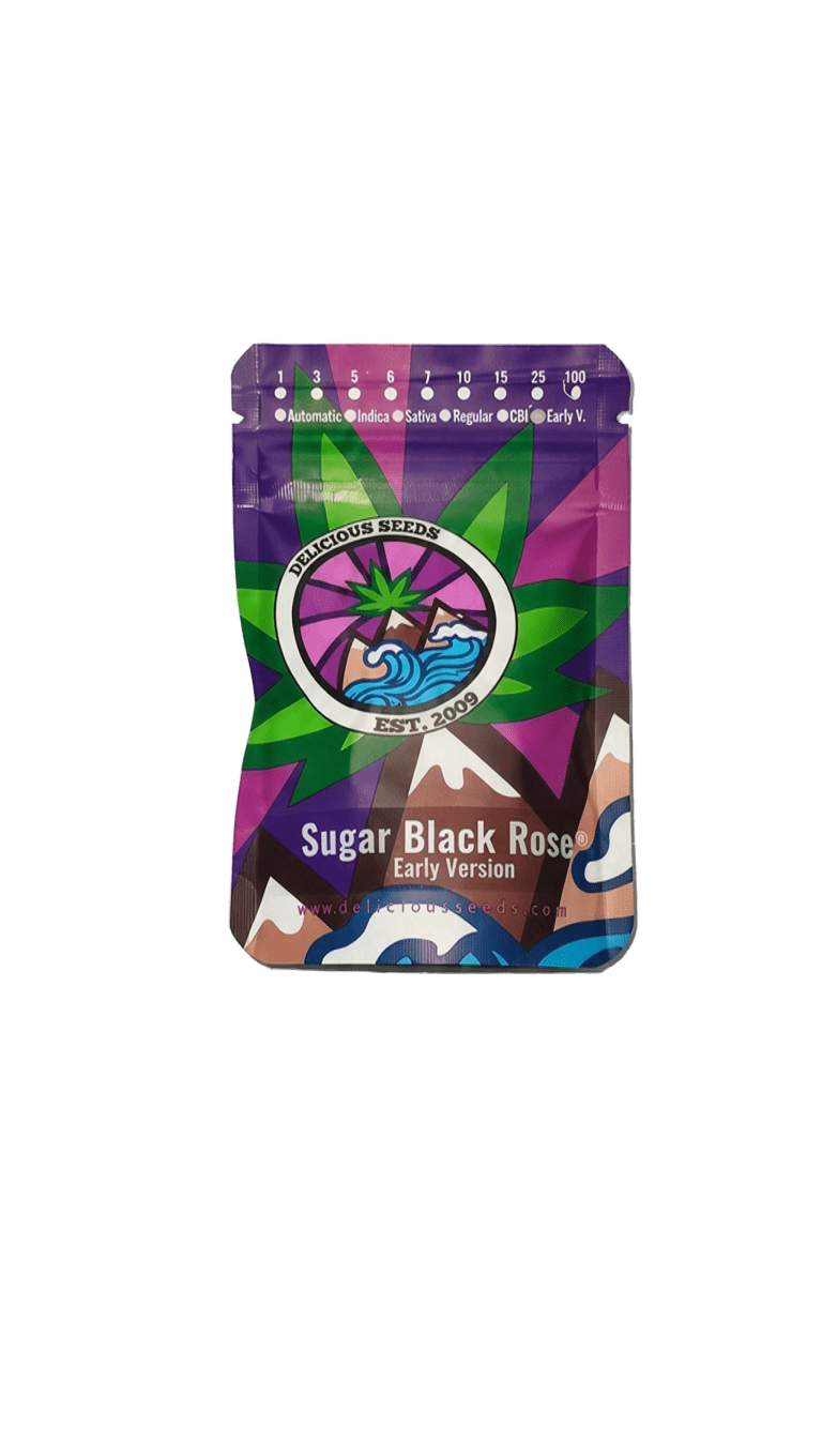 PACK MAYORISTA SUGAR BLACK ROSE FAST- VERSION 100 SEMILLAS DELICIOUS SEEDS 1