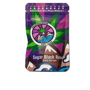 PACK MAYORISTA SUGAR BLACK ROSE FAST- VERSION 100 SEMILLAS DELICIOUS SEEDS