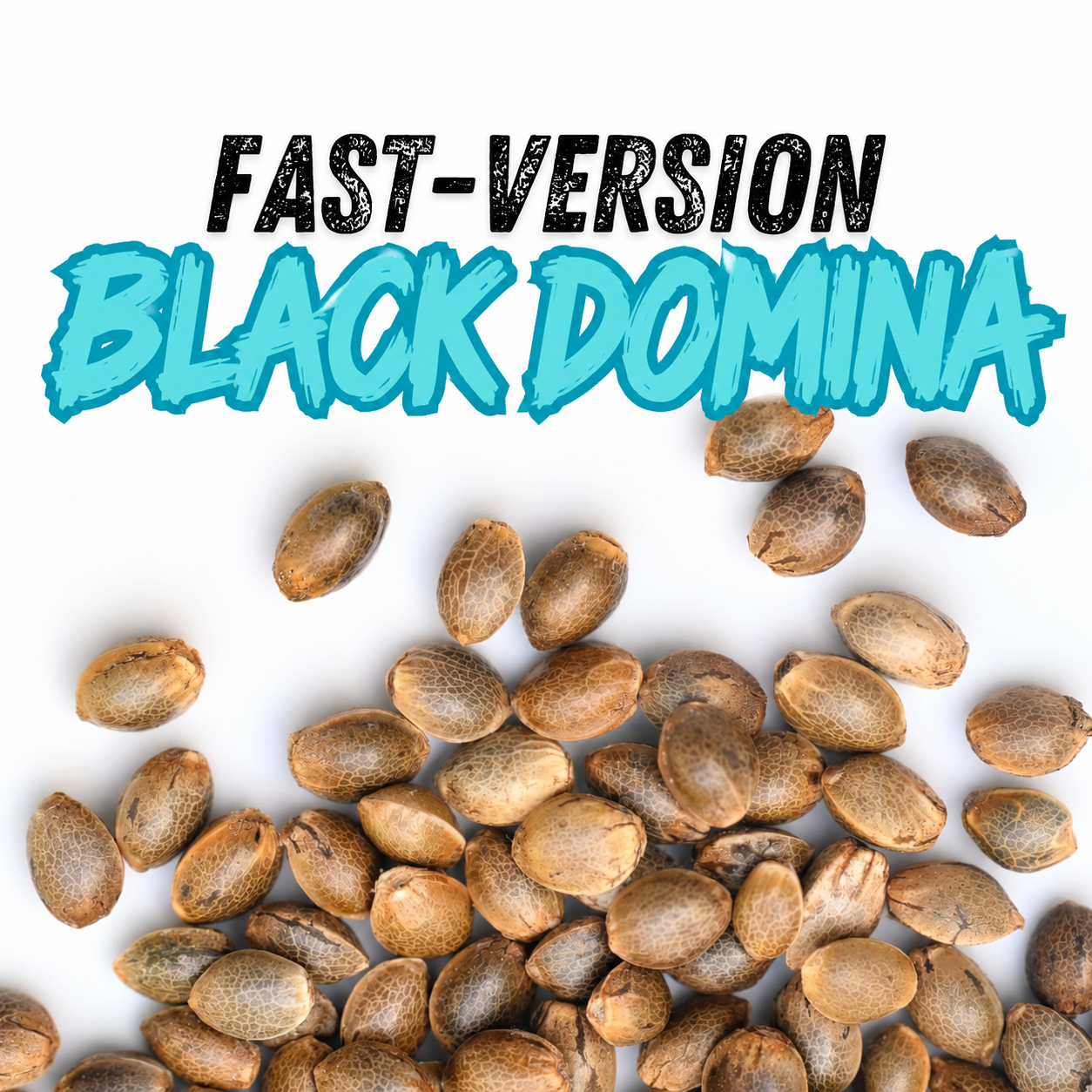 BLACK DOMINA FAST VERSION GRANEL 1