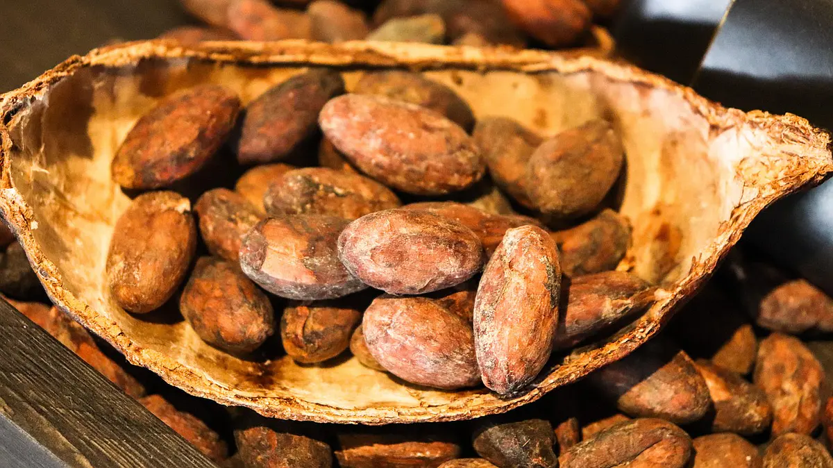 Cacao con Corazón