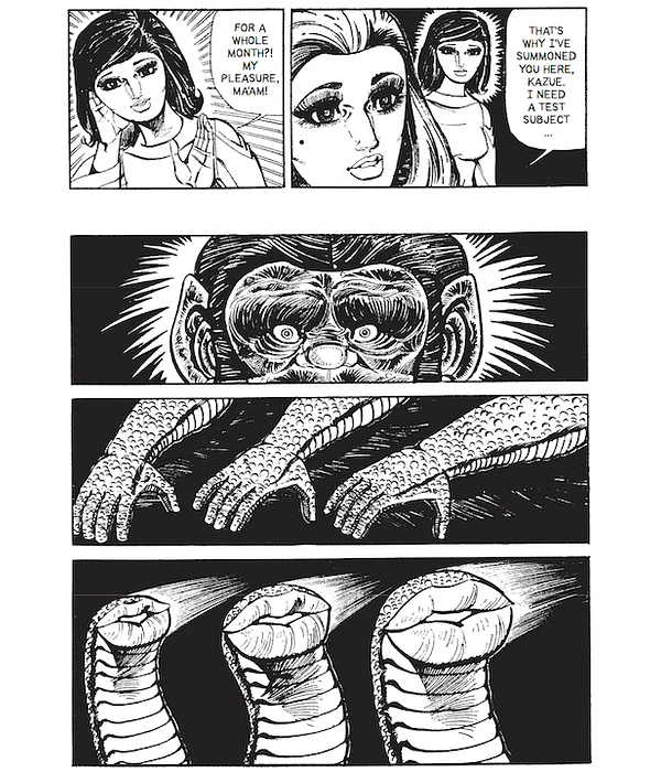 My Gorilla Family - Iijima Ichiro