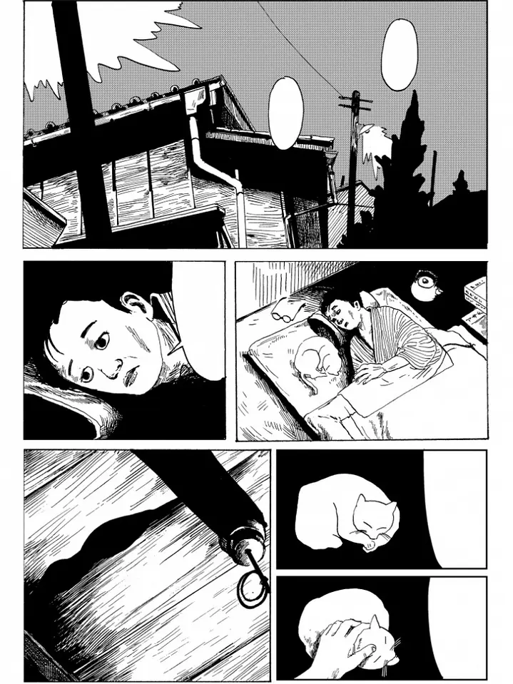 Umbra 6 2