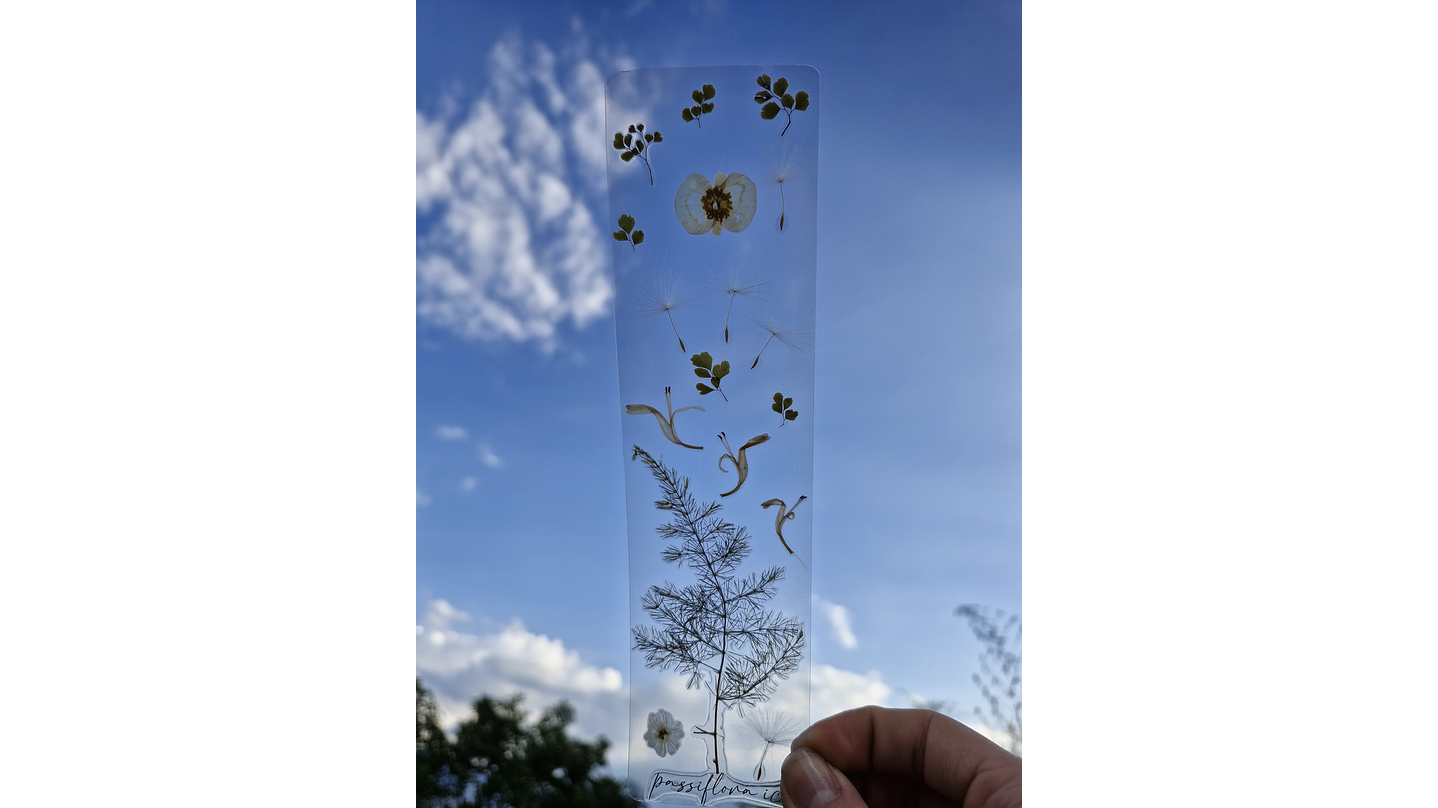 Separador de Libro Orgánico Laminado 1