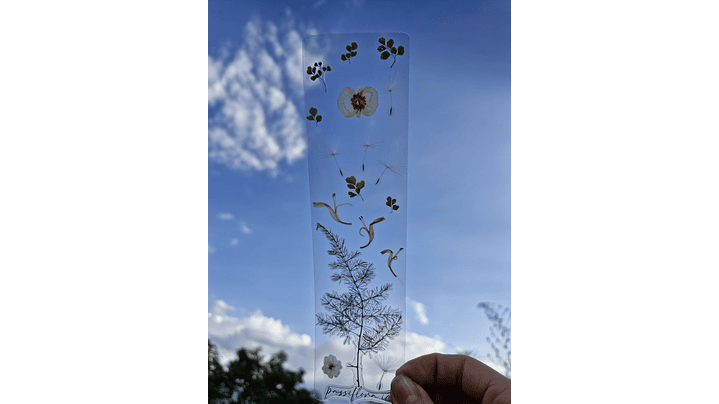 Separador de Libro Orgánico Laminado 1