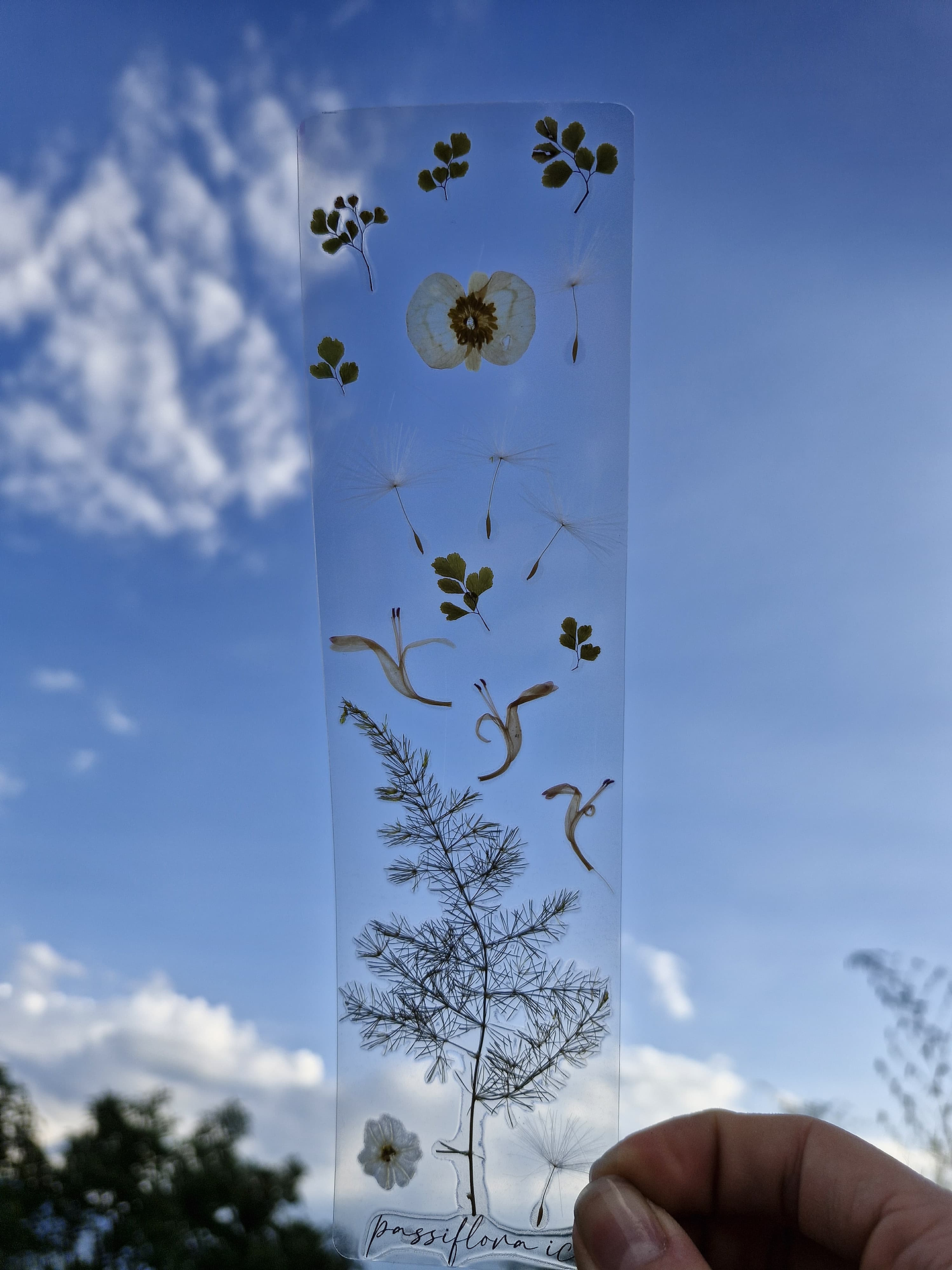 Separador de Libro Orgánico Laminado 1