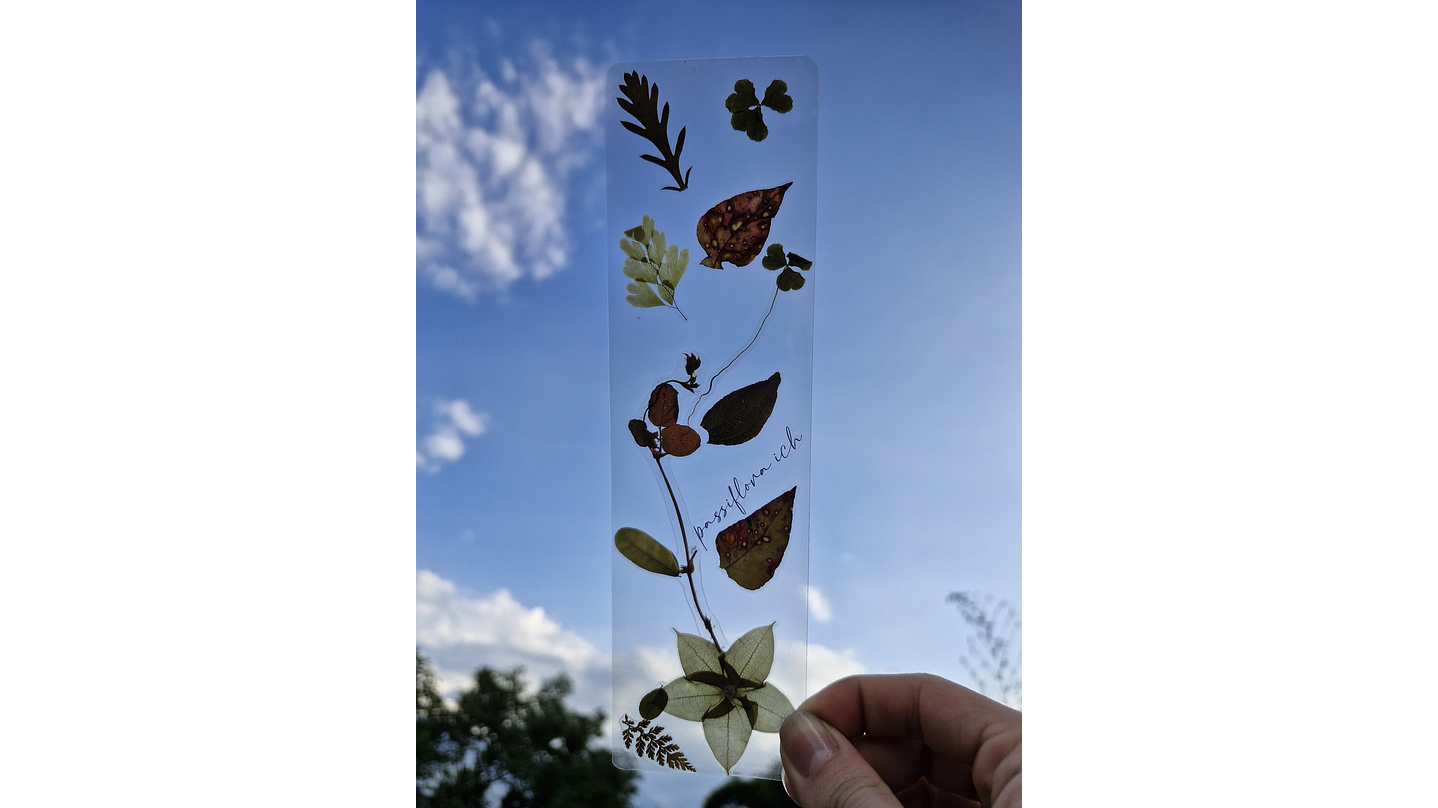 Separador de Libro Orgánico Laminado 2