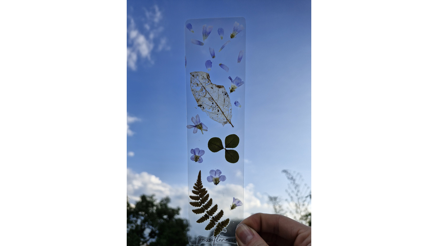 Separador de Libro Orgánico Laminado 3