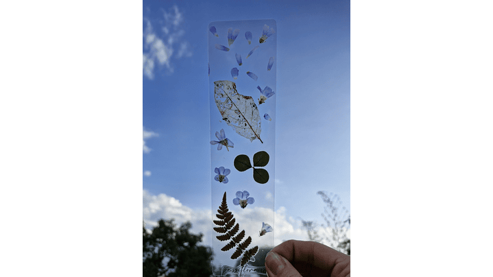 Separador de Libro Orgánico Laminado 3