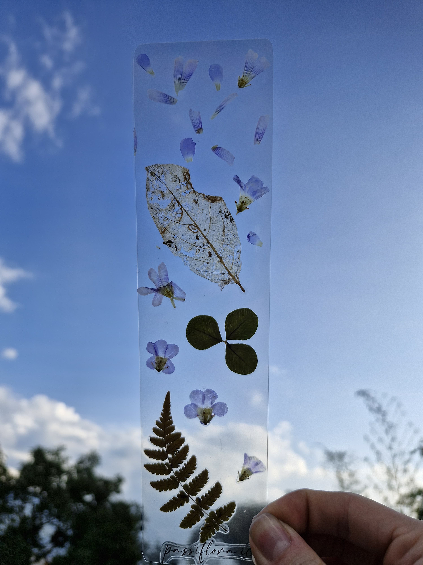 Separador de Libro Orgánico Laminado 3