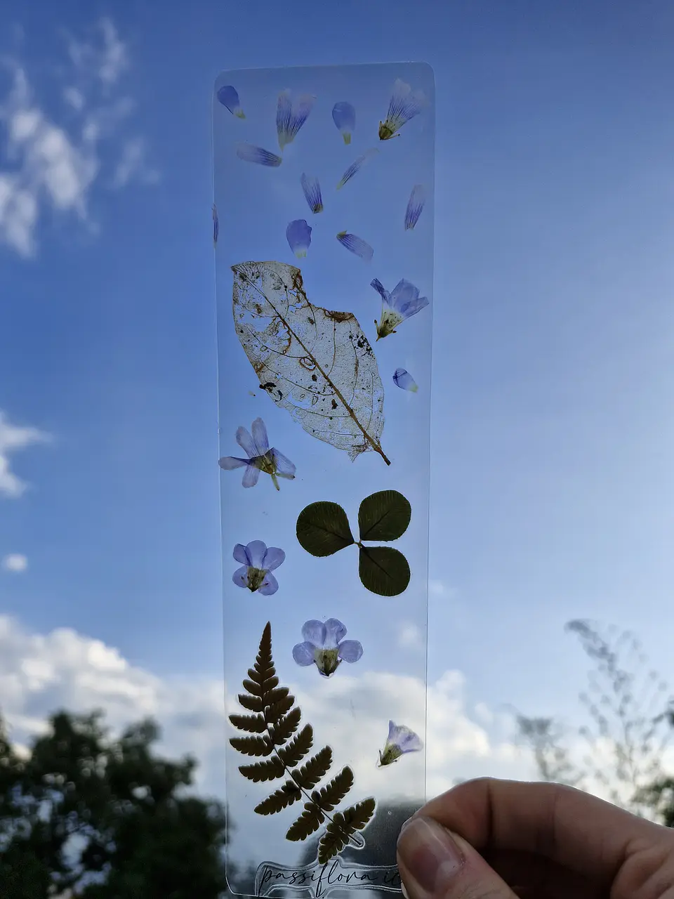 Separador de Libro Orgánico Laminado 3