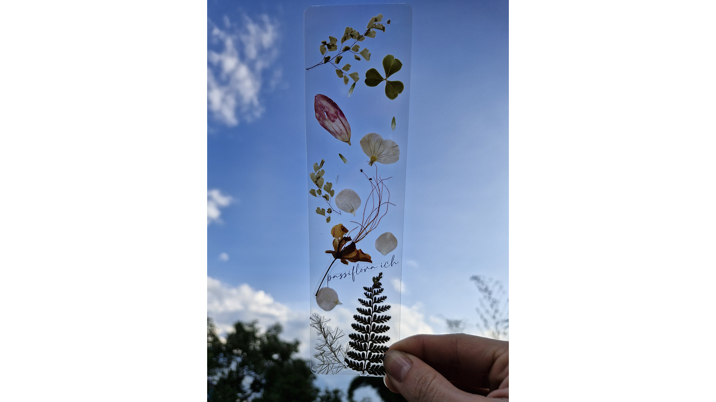 Separador de Libro Orgánico Laminado 4