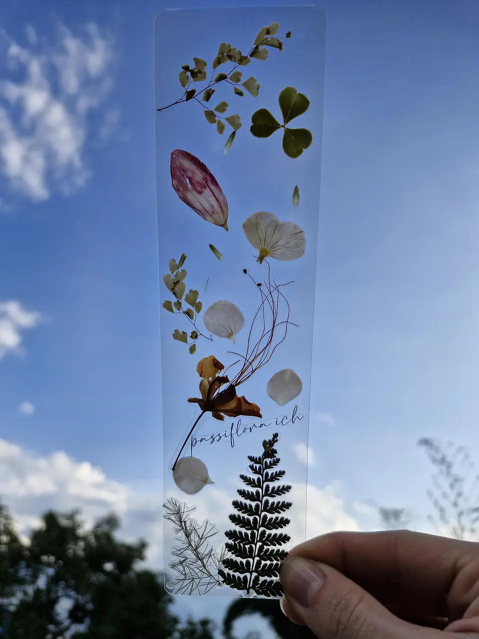 Separador de Libro Orgánico Laminado 4