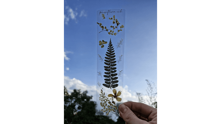 Separador de Libro Orgánico Laminado 5