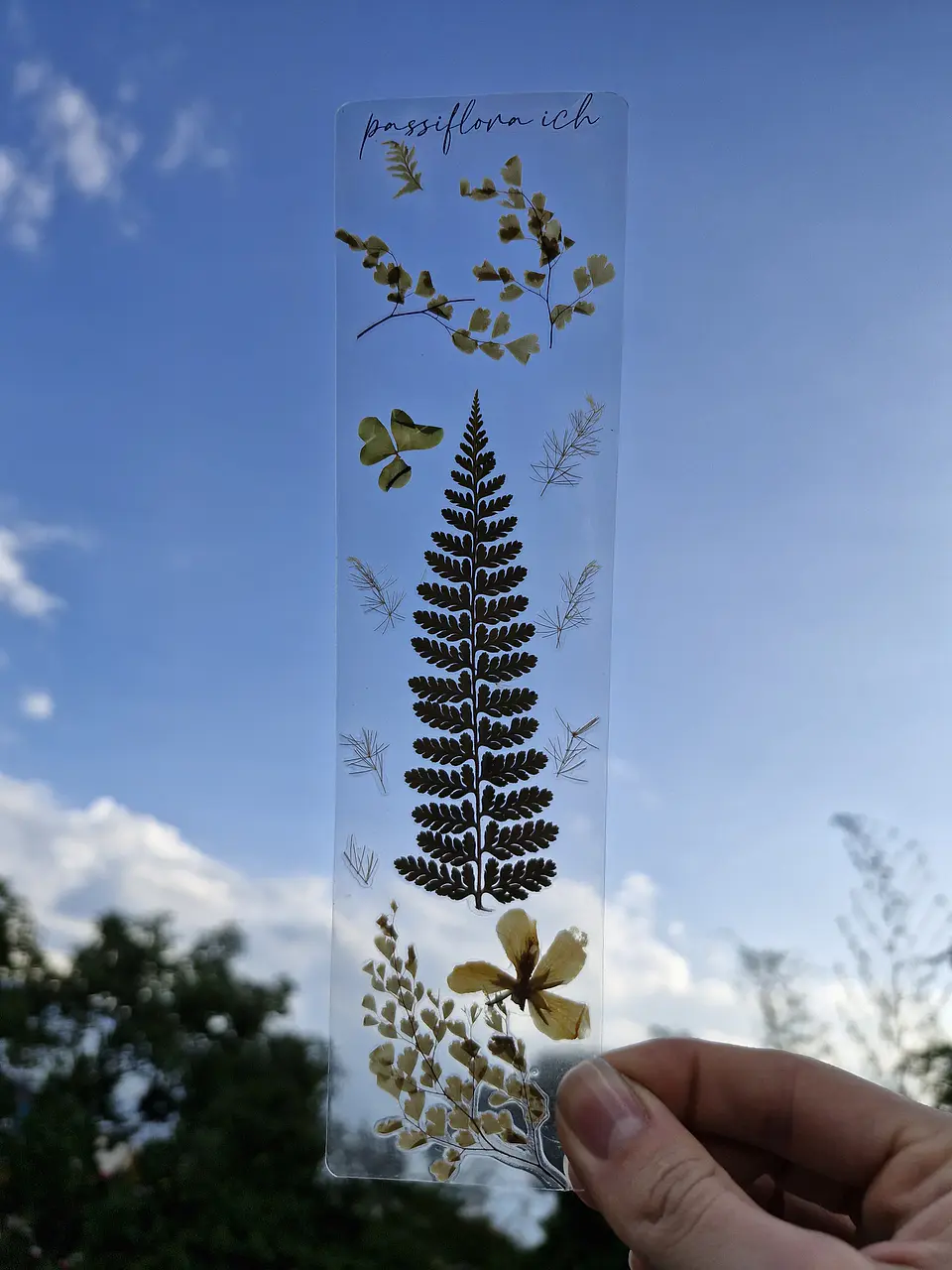 Separador de Libro Orgánico Laminado 5