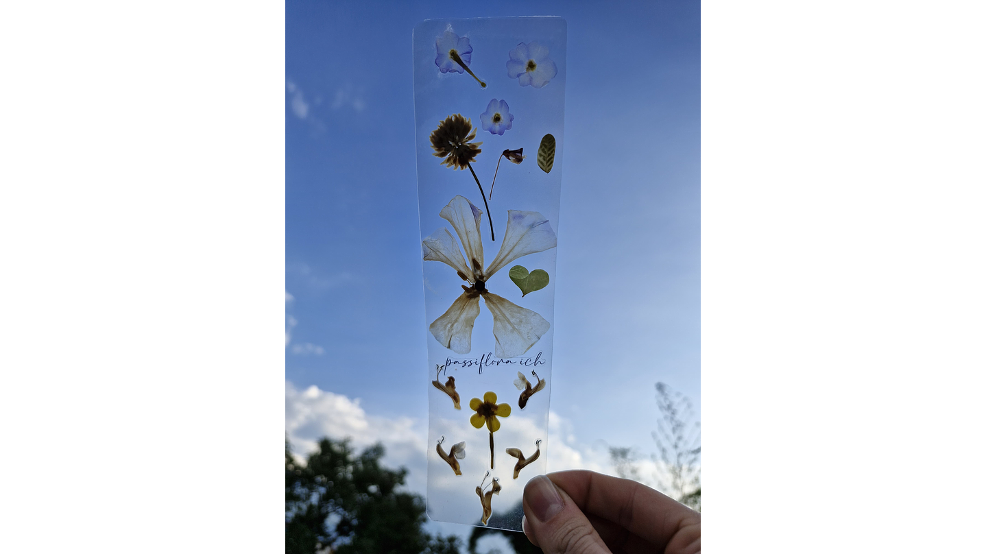 Separador de Libro Orgánico Laminado 6