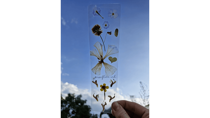 Separador de Libro Orgánico Laminado 6