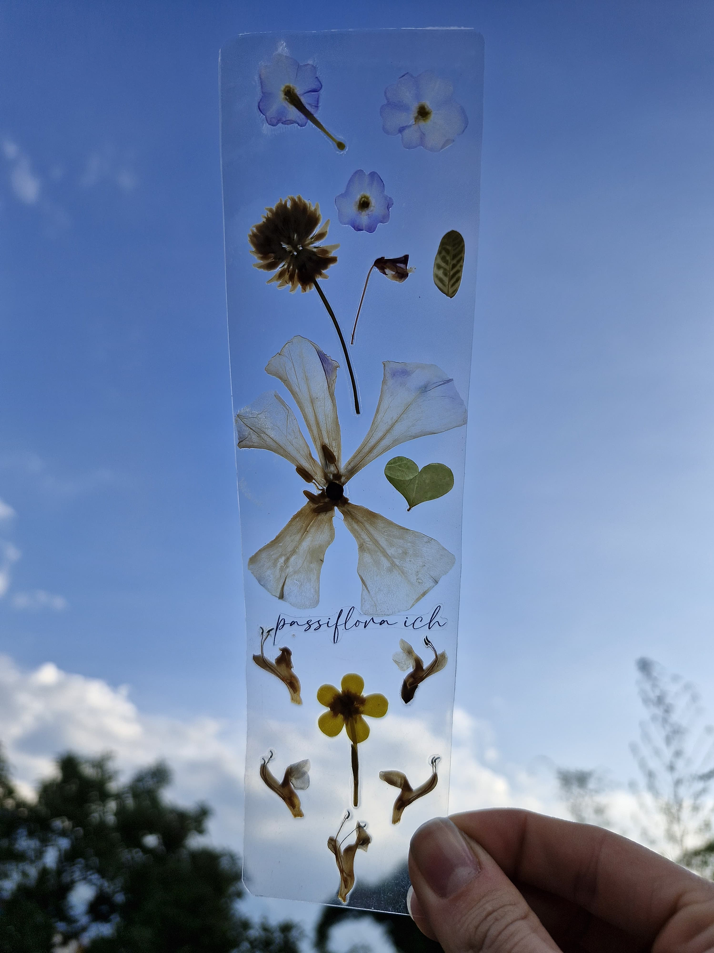 Separador de Libro Orgánico Laminado 6