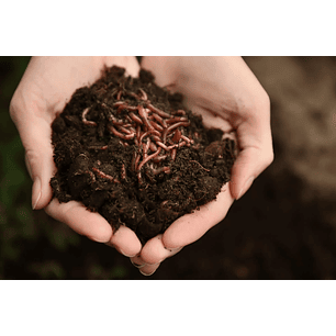 Kit Lombricultivo