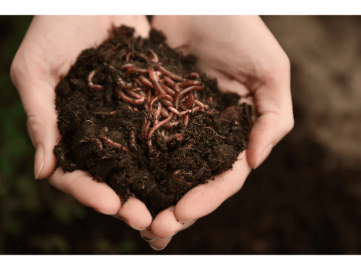 Kit Lombricultivo 1