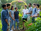 Curso de Jardinería y Paisajismo - Miniatura 3
