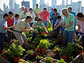 Curso de Jardinería Urbana - Miniatura 1