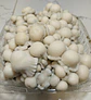 fungimente kit de cultivo - Miniatura 3