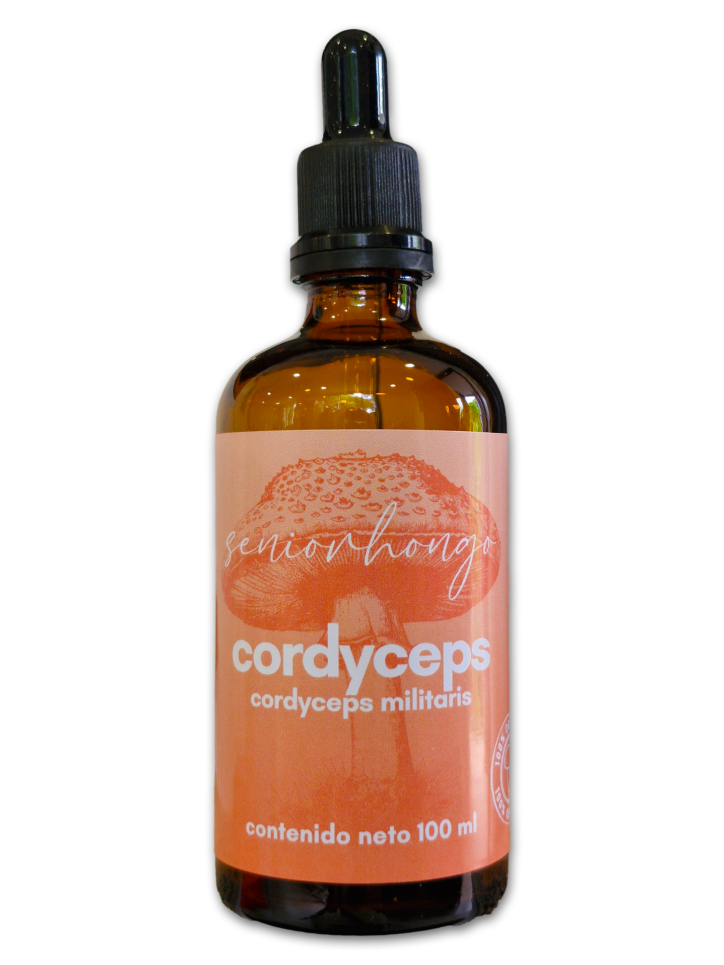 cordyceps extracto 1