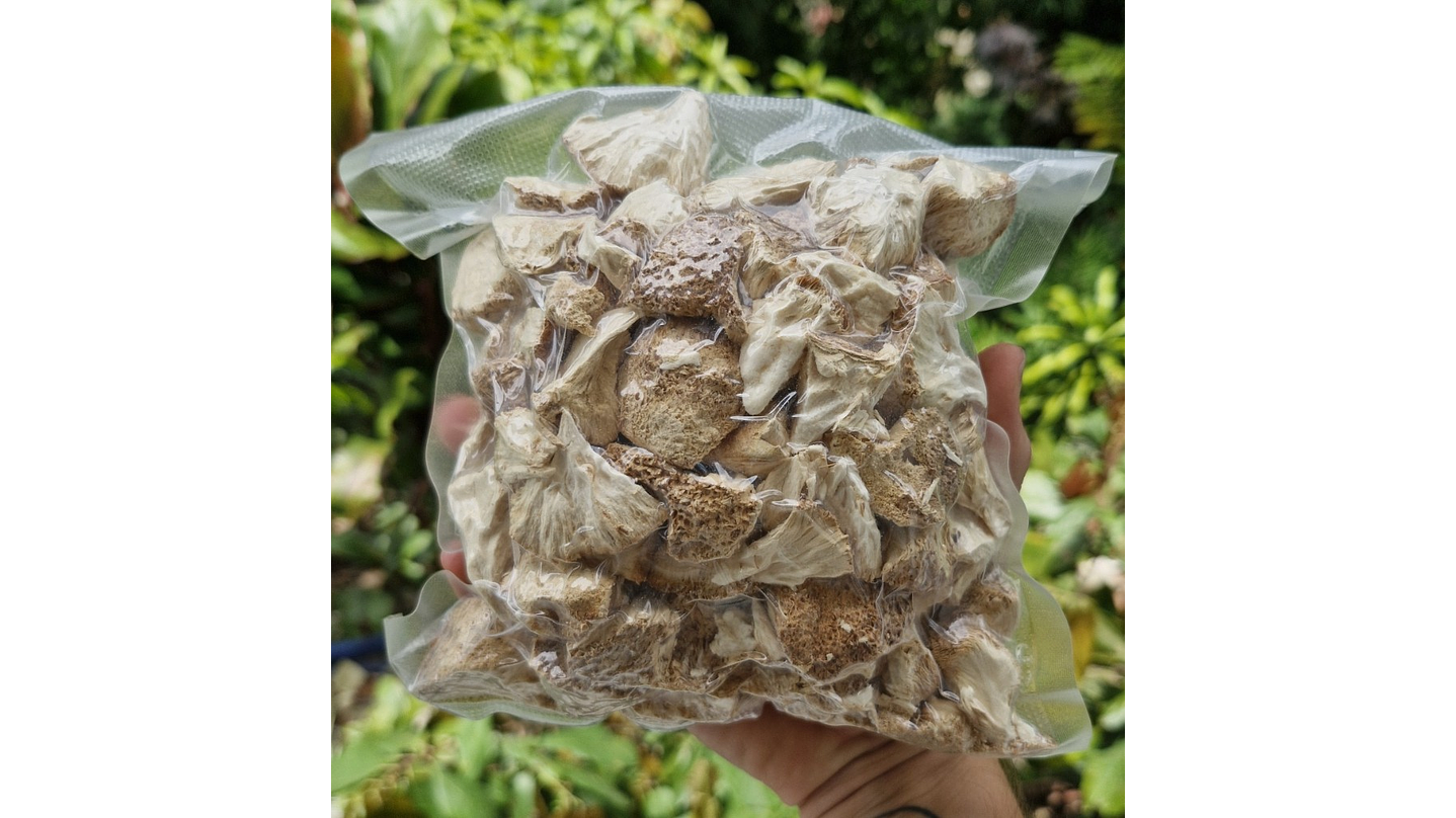 melena de león deshidratado 1